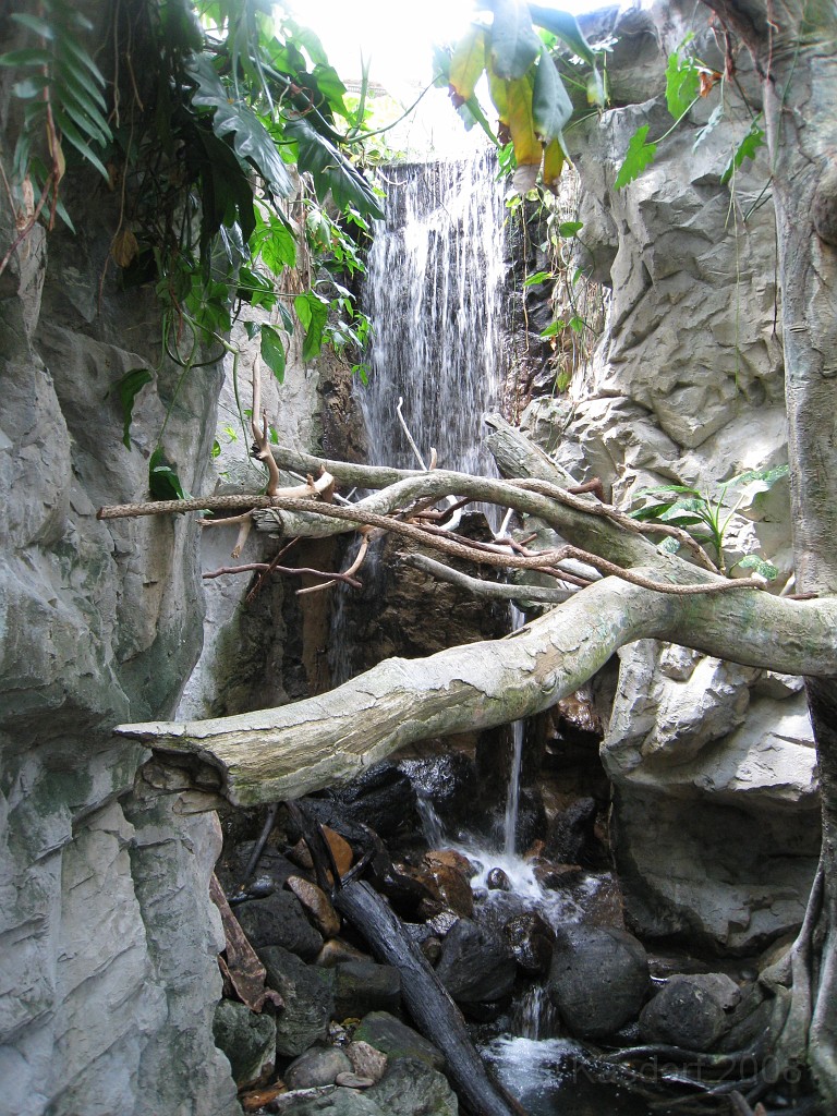 Baltimore MD 2009 1810.jpg - A 4th of July trip to Washington DC in 2009 included a stop in Baltimore MD to see the National Aquarium.